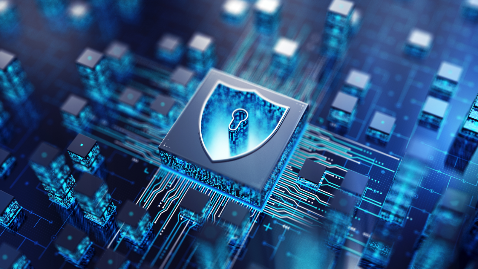  a digital circuit board background and a shield icon symbolizing cybersecurity.